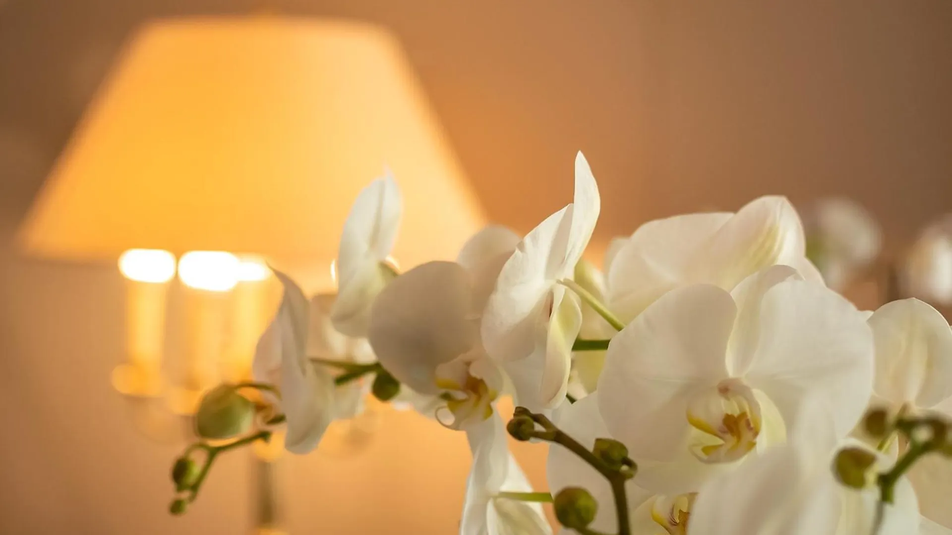 Hotel Haus Arenberg Salzburg